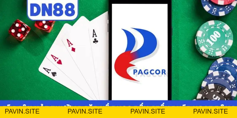 Các Câu Hỏi Thường Gặp Về DN88 - Giải Đáp Chi Tiết Cụ Thể - Pavin
