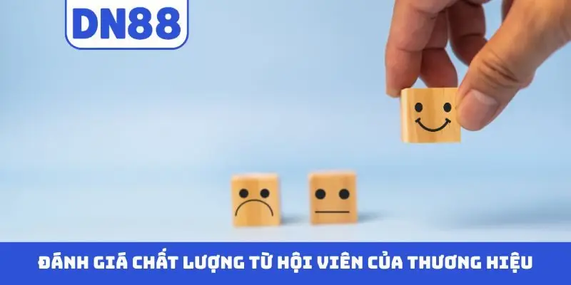 Top 5 Lý Do Nên Chọn DN88 Để Cá Cược Giải Trí Trong Năm 2026 - Pavin