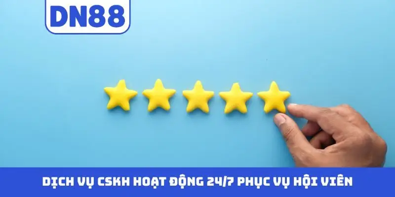 Các Câu Hỏi Thường Gặp Về DN88 - Giải Đáp Chi Tiết Cụ Thể - Pavin