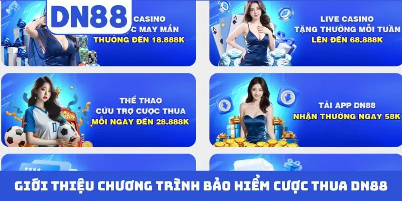 Bảo Hiểm Cược Thua DN88 - Chính Sách Hoàn Trả Hấp Dẫn - Pavin