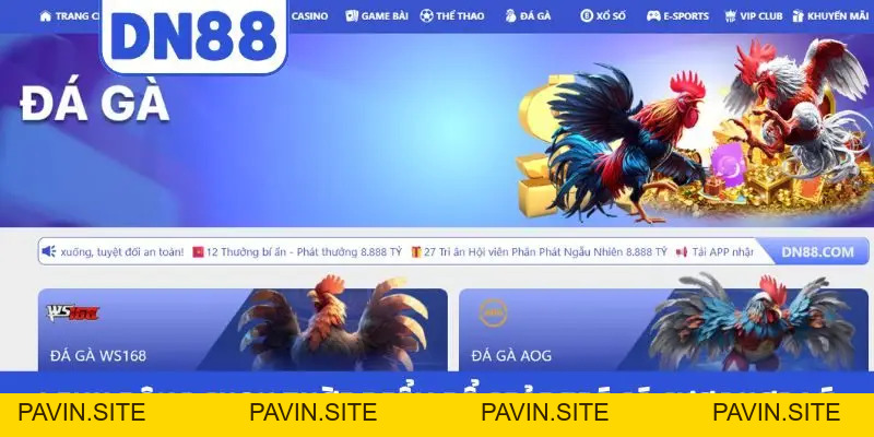 Cách Tham Gia DN88 Không Bị Chặn - Cập Nhật Link Chuẩn 2026 - Pavin