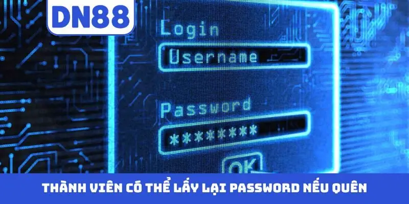 Cách Xử Lý Khi Quên Mật Khẩu DN88 An Toàn Và Nhanh Chóng - Pavin