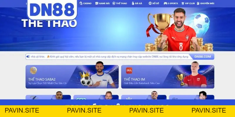 DN88 VIP ✔️Link DN88.COM IOS/APK | Tri Ân +88K Tải App DN 88 - Pavin