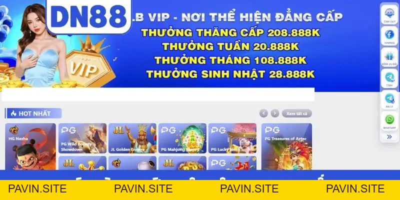 Liên Hệ DN88 - Cung Cấp Nhiều Phương Thức Hỗ Trợ Tiện Lợi - Pavin