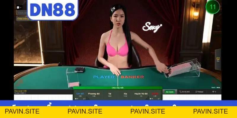 Casino DN88 - Trải Nghiệm Cá Cược Độc Đáo Nhận Nhiều Ưu Đãi - Pavin