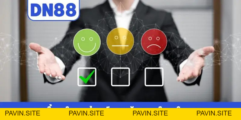 Liên Hệ DN88 - Cung Cấp Nhiều Phương Thức Hỗ Trợ Tiện Lợi - Pavin