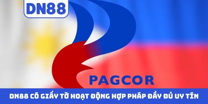 Câu Hỏi thường Gặp DN88 - Giải Đáp Thắc Mắc Chi Tiết - Pavin