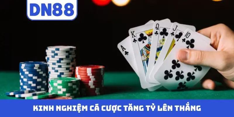 Game Bài DN88 - Khám Phá Cá Cược Chuyên Nghiệp Tại Nhà Cái - Pavin