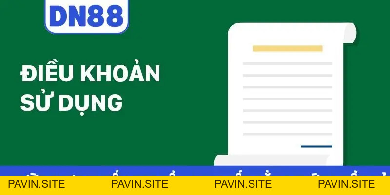 Điều Khoản Điều Kiện DN88 - Hiểu Rõ Bản Chất Cá Cược An Toàn - Pavin